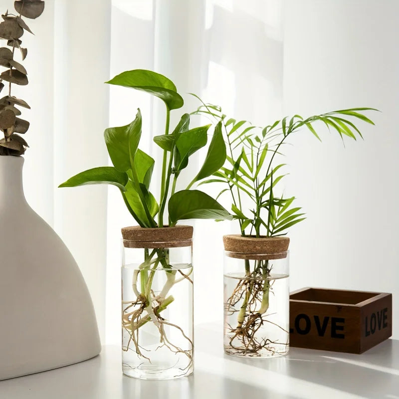 Hydroponic Glass Planter Vase – Desktop Plant Station