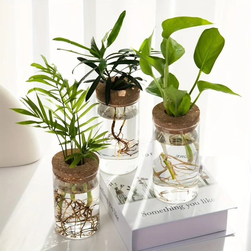 Hydroponic Glass Planter Vase – Desktop Plant Station