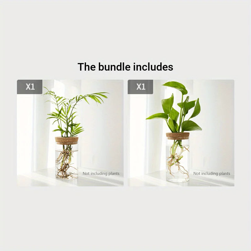 Hydroponic Glass Planter Vase – Desktop Plant Station