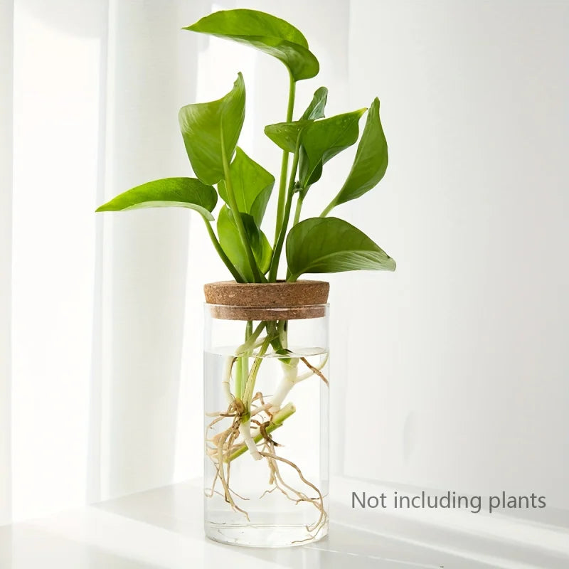 Hydroponic Glass Planter Vase – Desktop Plant Station
