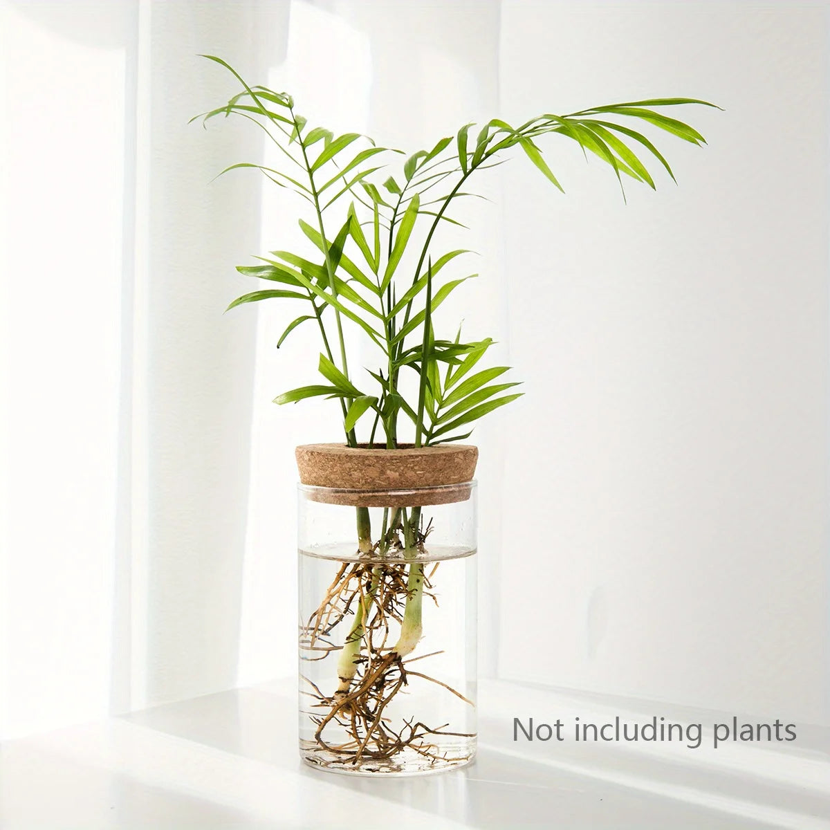 Hydroponic Glass Planter Vase – Desktop Plant Station